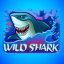 logo Wild Shark