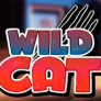 logo Wild Cat