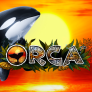 logo Orca