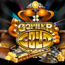 logo Gopher Gold