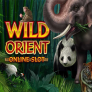 logo Wild Orient