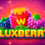 logo Fluxberry