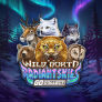 logo Wild North Radiant Skies Go Collect