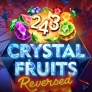 logo 243 Crystal Fruits Reversed