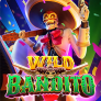 logo Wild Bandito