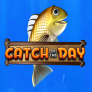 logo Catch Of The Day