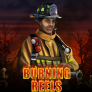 logo Burning Reels