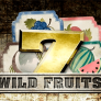 logo WildFruits