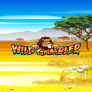 logo Wild Gambler
