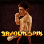 logo Shaolin Spin