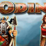 logo Odin
