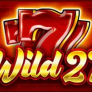 logo Wild 27