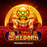 logo 5 Lions Reborn