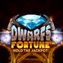 logo Dwarfs Fortune