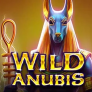 logo Wild Anubis