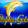 logo Dolphin Gold