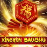 logo Xingyun Baozhu