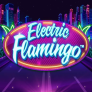 logo Electric Flamingo