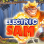logo Electric Sam