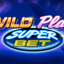 logo Wild Play