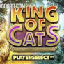 logo King of Cats
