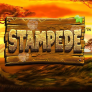 logo Stampede