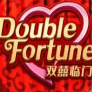 logo Double Fortune