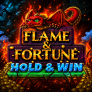 logo Flame and Fortune