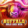 logo Buffalo Hold and Win