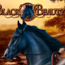 logo Black Beauty