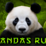 logo Pandas Run