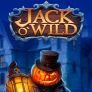 logo Jack O'Wild