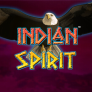logo Indian Spirit