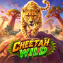logo Cheetah Wild