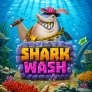 logo Shark Wash