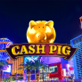 logo Cash Pig