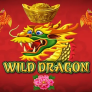 logo Wild Dragon