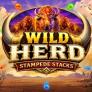logo Wild Herd Stampede Stacks