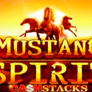 logo Mustang Spirit Cash Stacks