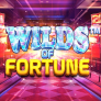 logo Wilds of Fortune