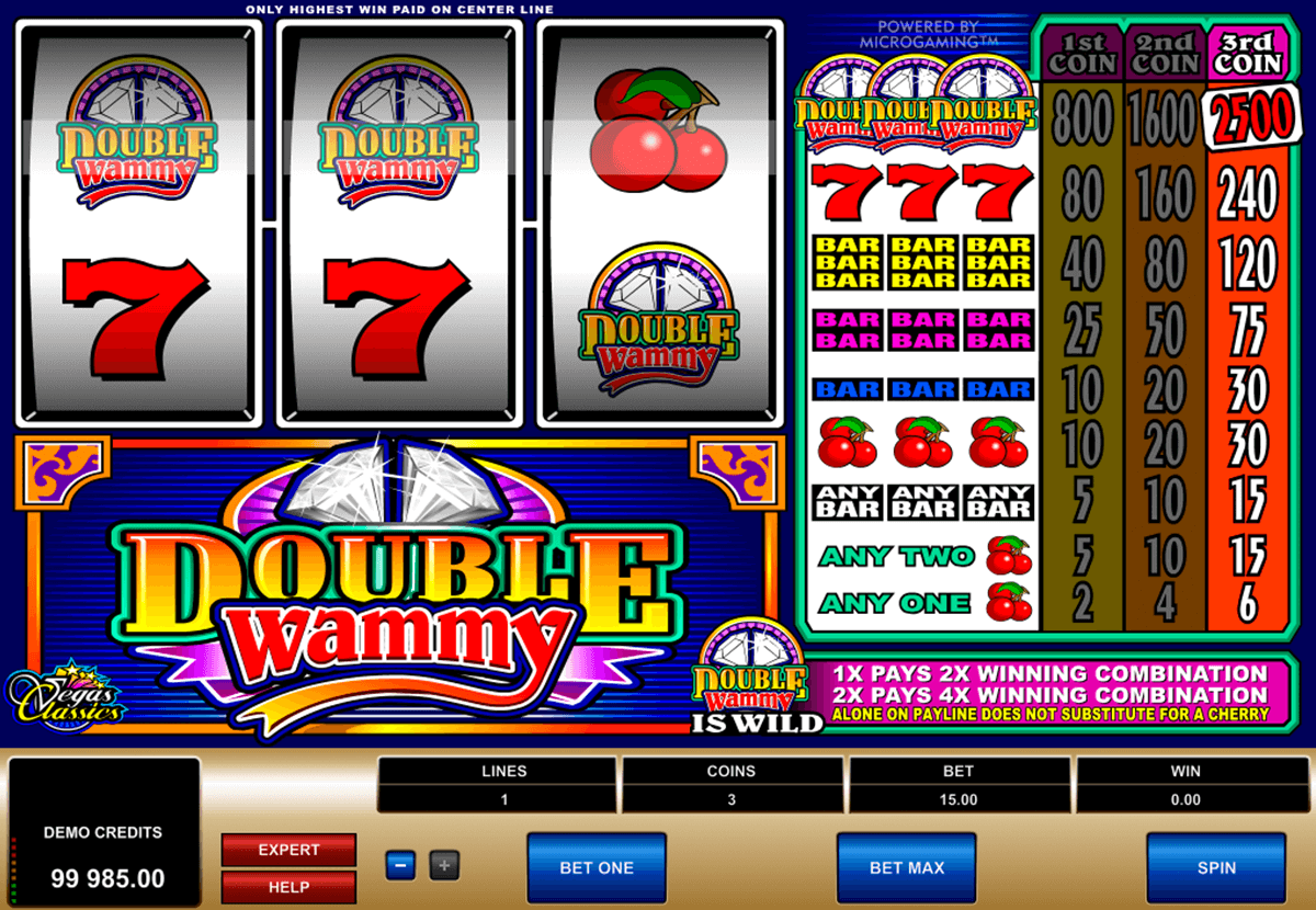 double wammy microgaming slot machine 