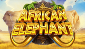logo african elephant pragmatic play 