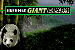 logo untamed giant panda microgaming slot online 