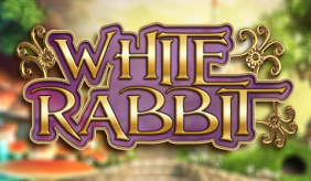 logo white rabbit big time gaming 