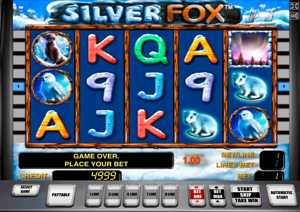 silver fox novomatic slot machine 