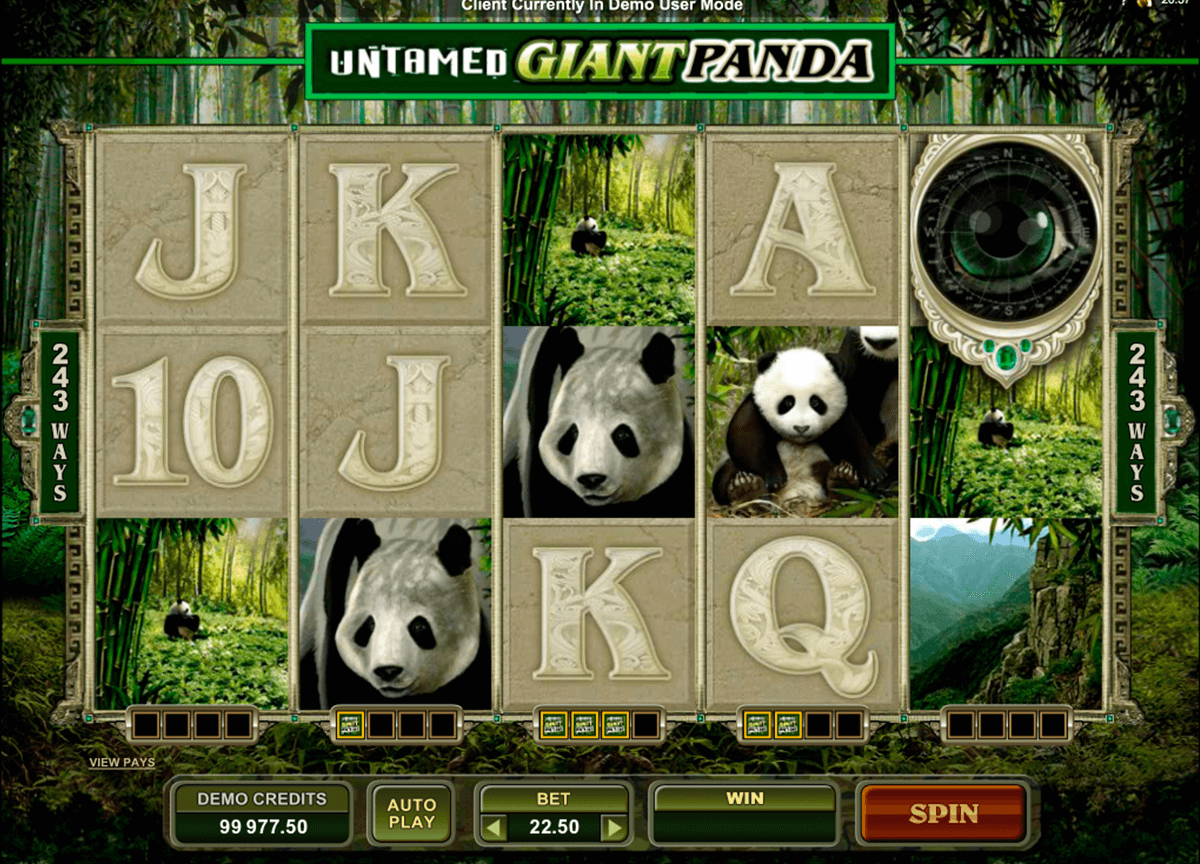 untamed giant panda microgaming slot machine 